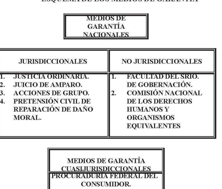 La garantía constitucional y la suspensión de los derechos ...