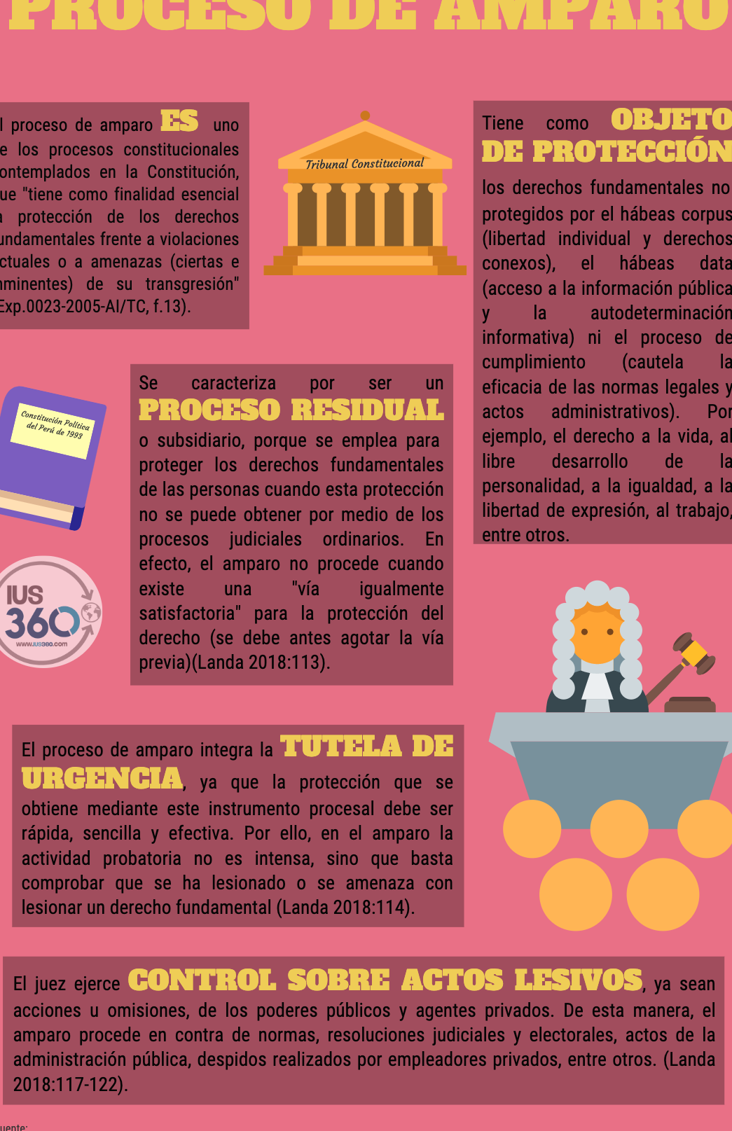 El recurso de amparo en España: Protección constitucional en ocho pasos ...
